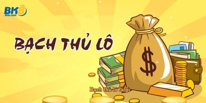 Bạch thủ lô là gì 