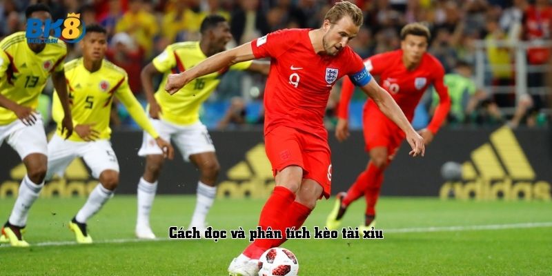Cách đọc và phân tích kèo tài xỉu​