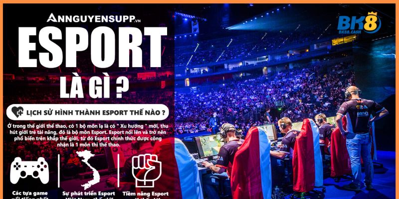 Esports là trò chơi gì?