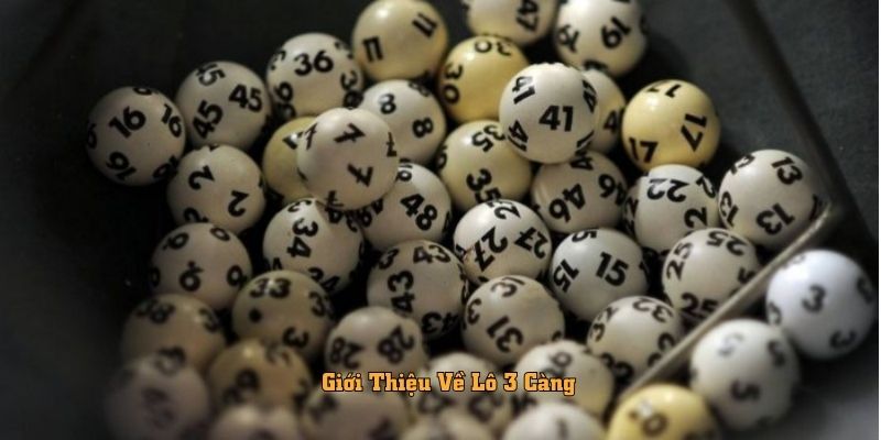 Giới Thiệu Về Lô 3 Càng