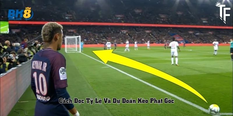 Cách Đọc Tỷ Lệ Và Dự Đoán