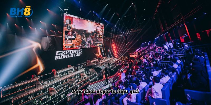 Mẹo chơi esports hiệu quả cho người mới