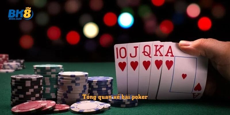 Tổng quan về bài poker bk8 
